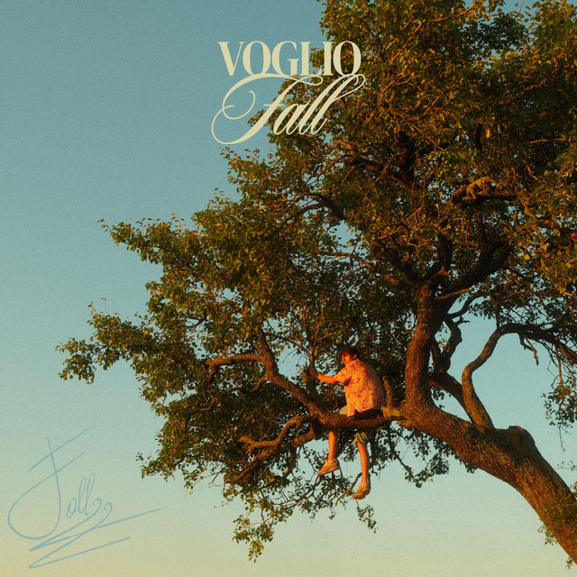 Voglio cover art
