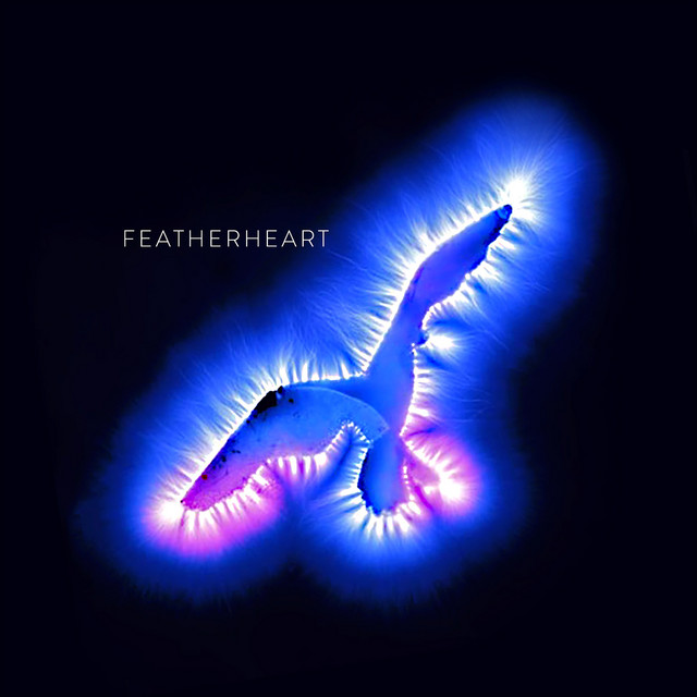 Featherheart cover art