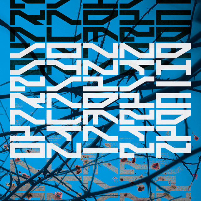 Radical Meditation cover art
