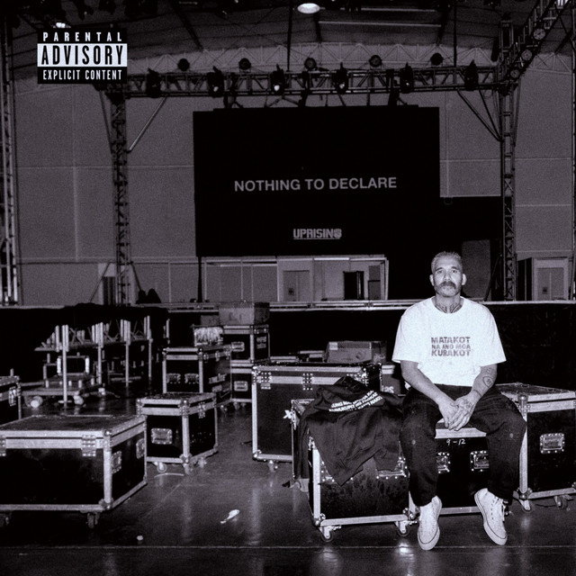 Nothing To Declare cover art