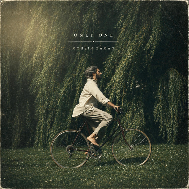 only one cover