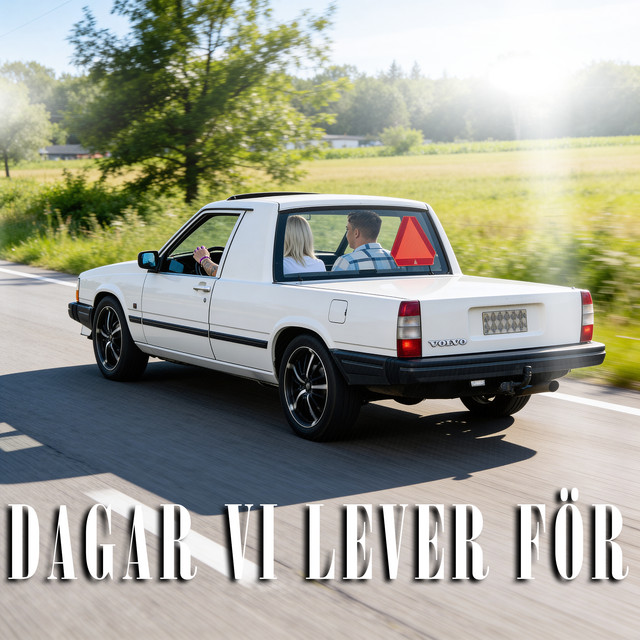 DAGAR VI LEVER FÖR cover art