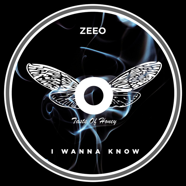 I Wanna Know - Extended Mix album art