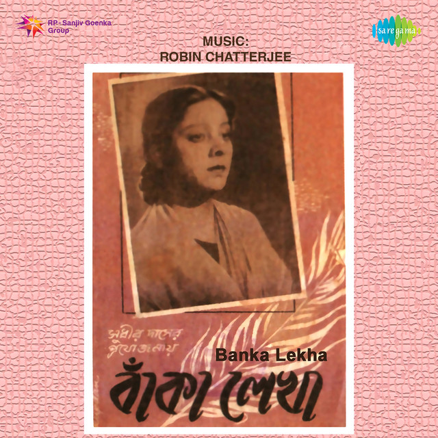 Neel Paharer Opaare cover art