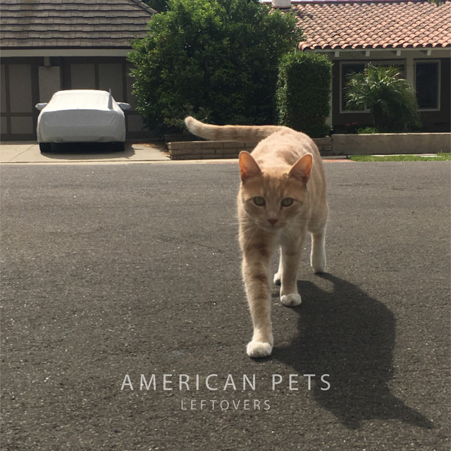 Leftovers cover art
