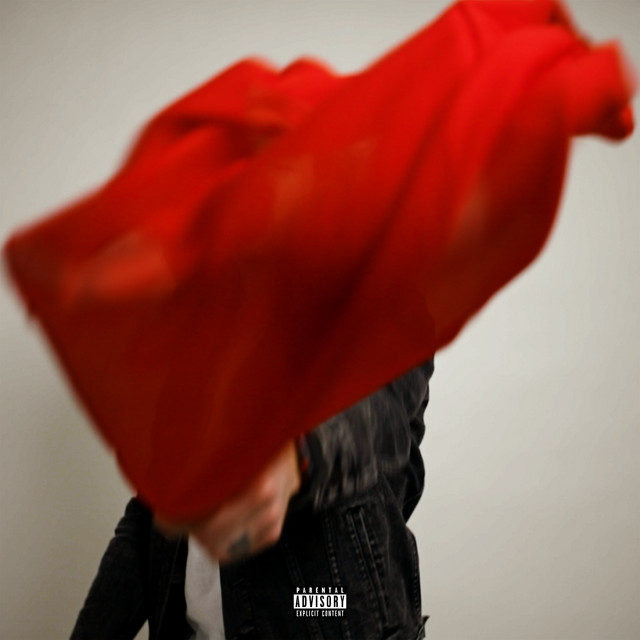 RED FLAGS cover art