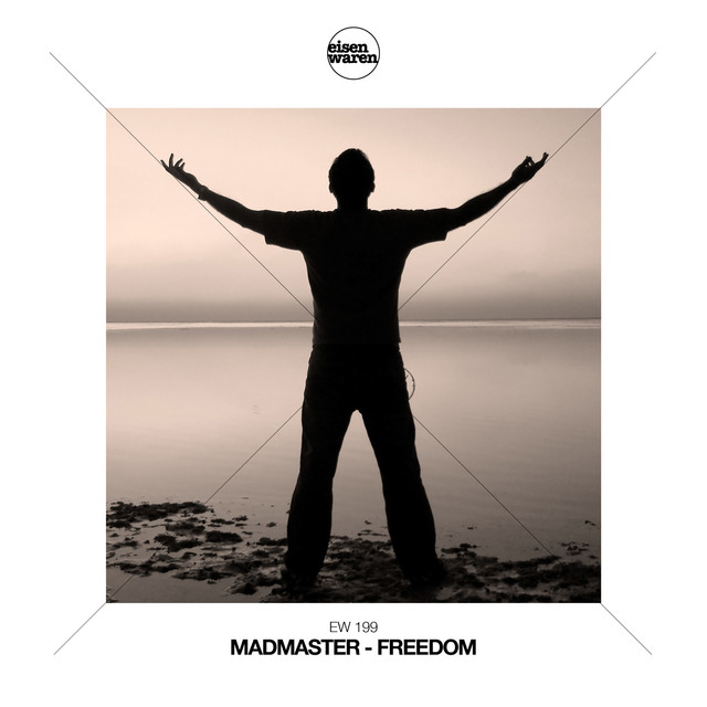 Freedom - Single by MadMaster | Spotify
