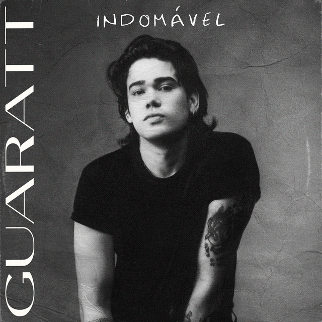 Indomável cover art