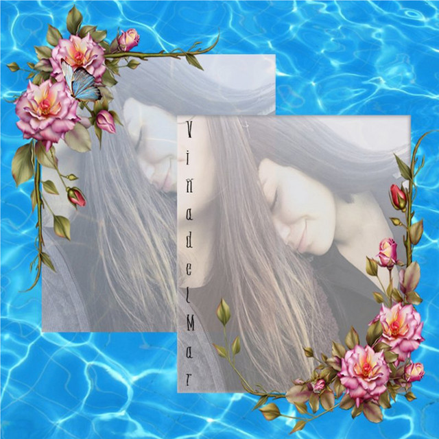 Viña del Mar cover art