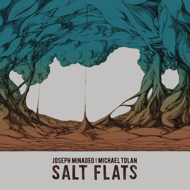 Salt Flats cover