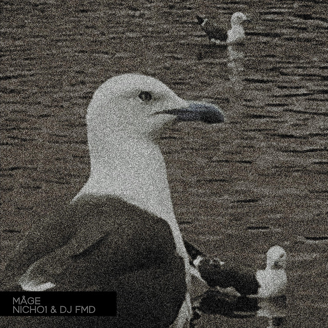 Måge cover art