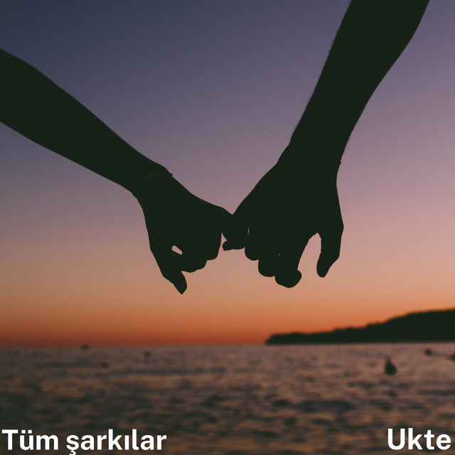 Tüm şarkılar cover art