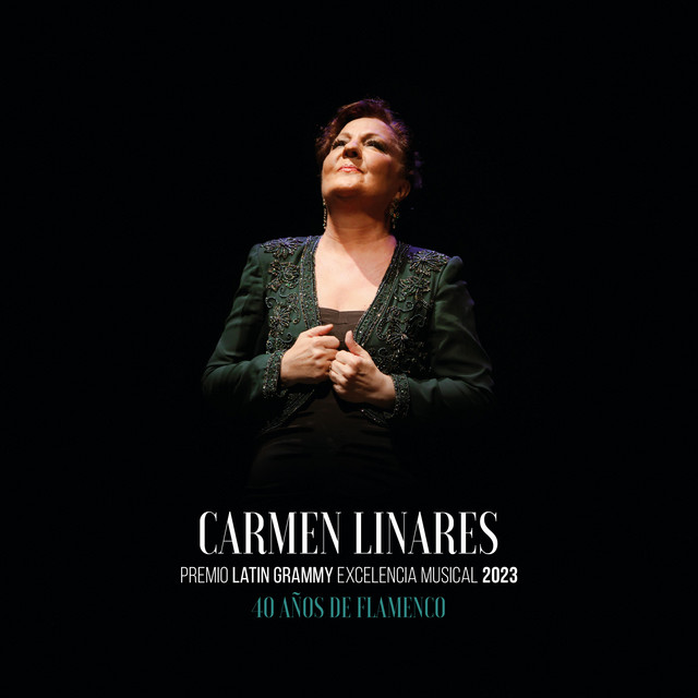 40 años de Flamenco (En Directo) cover art