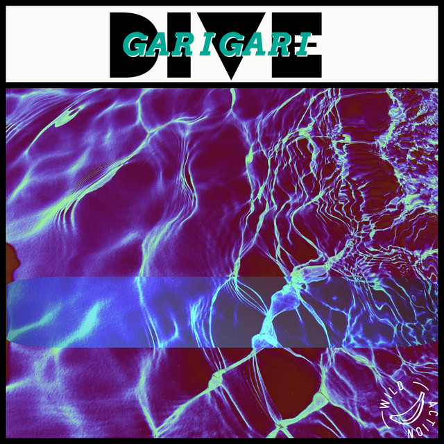 Dive cover