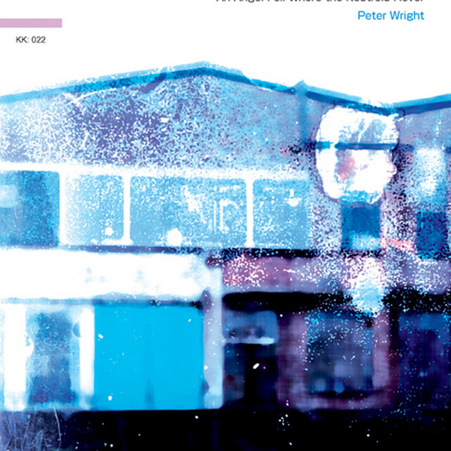 An Angel Fell Where the Kestrel Hover cover art