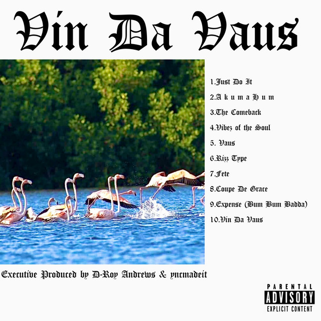 Vin Da Vaus cover art