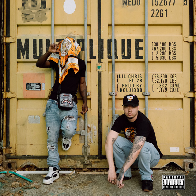 Multiplique cover art