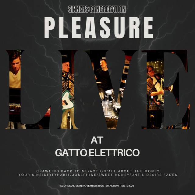 Pleasure (Live at Gatto Elettrico Studio) cover