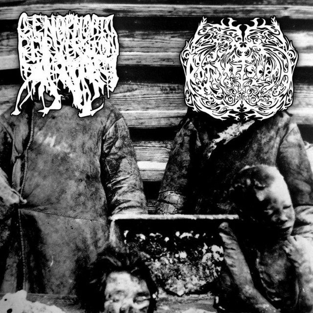 Human Butcher Shop - EP by R.O.T.W.L.C.F.T.S.C.B.M.H. | Spotify