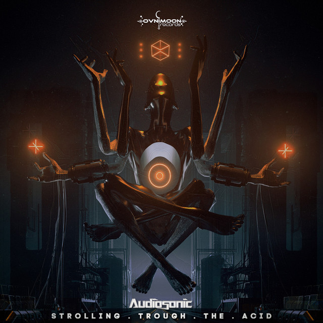 Strolling Trough the Acid cover art
