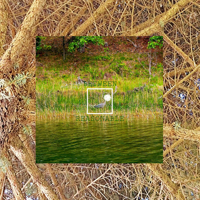 BETWEEN/REASONABLE cover art