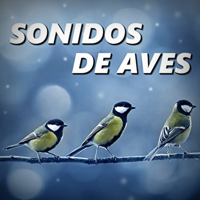 Sonido de Aves cover art