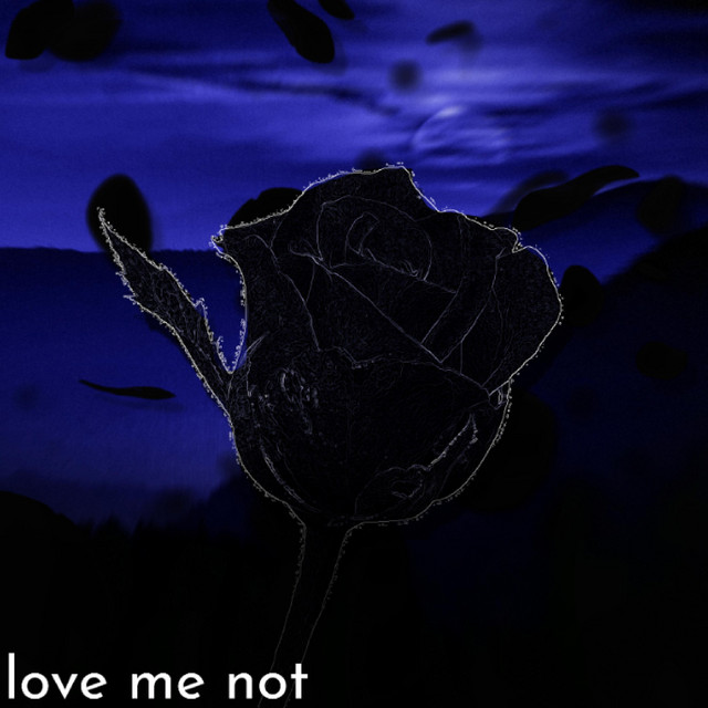 love me not cover art