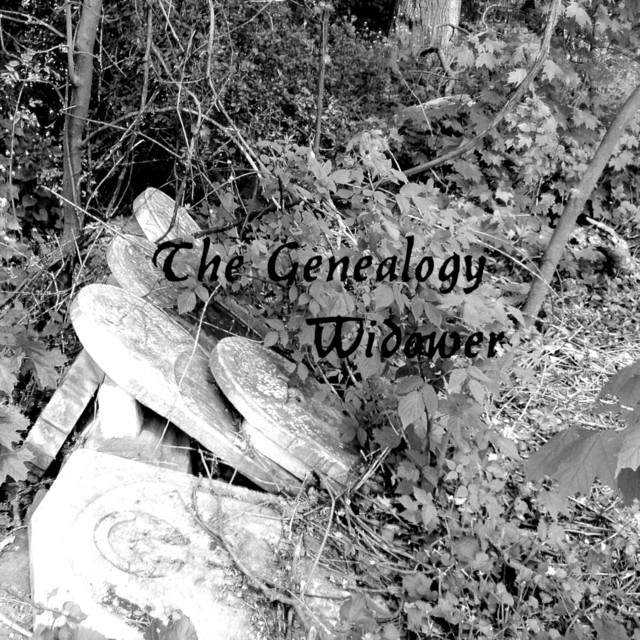 The Genealogy Widower cover