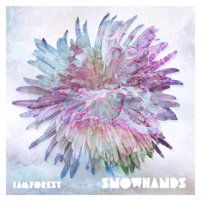 Snowhands cover