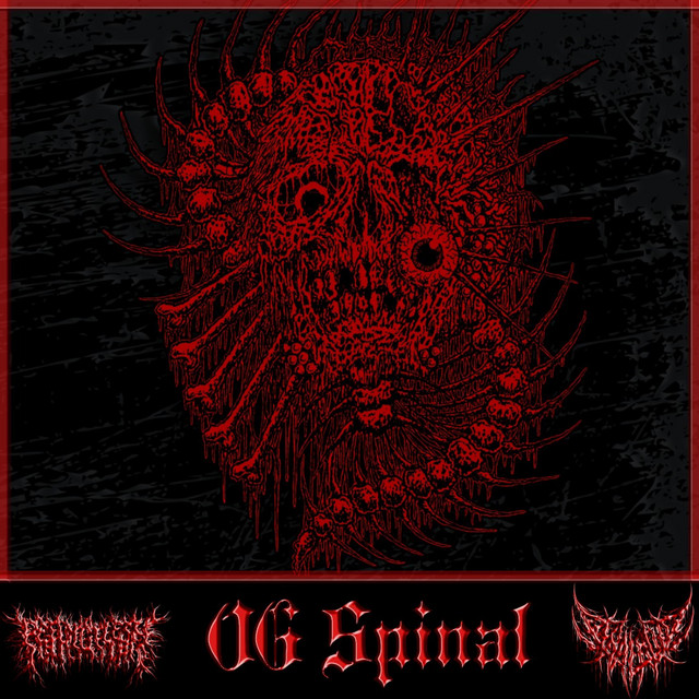 OG SPINAL