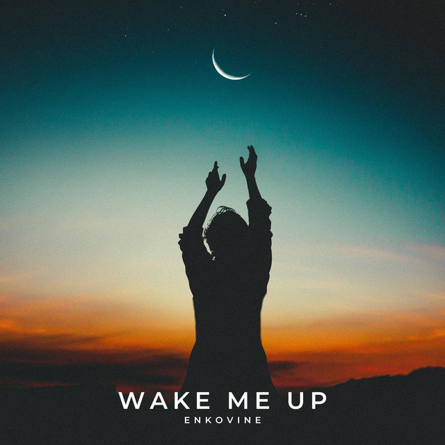 Обкладинка: Wake Me Up — Enkovine