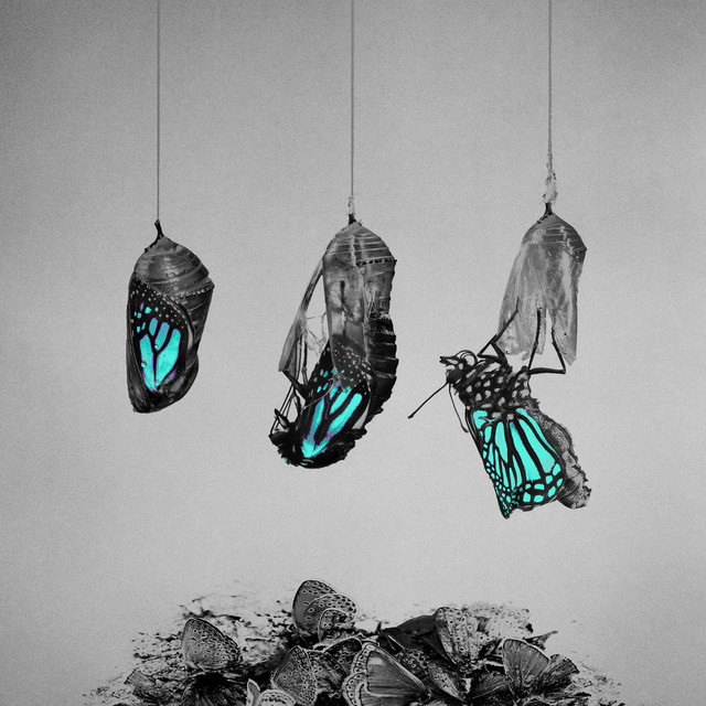 Evergreen cover art