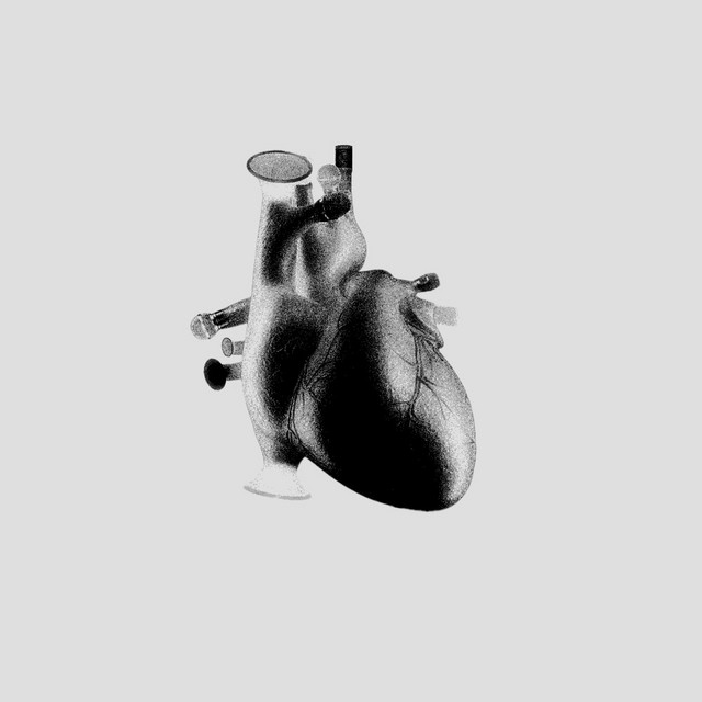 .echo szn cover art