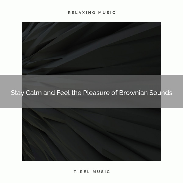 Stay Calm and Feel the Pleasure of Brownian Sounds cover art