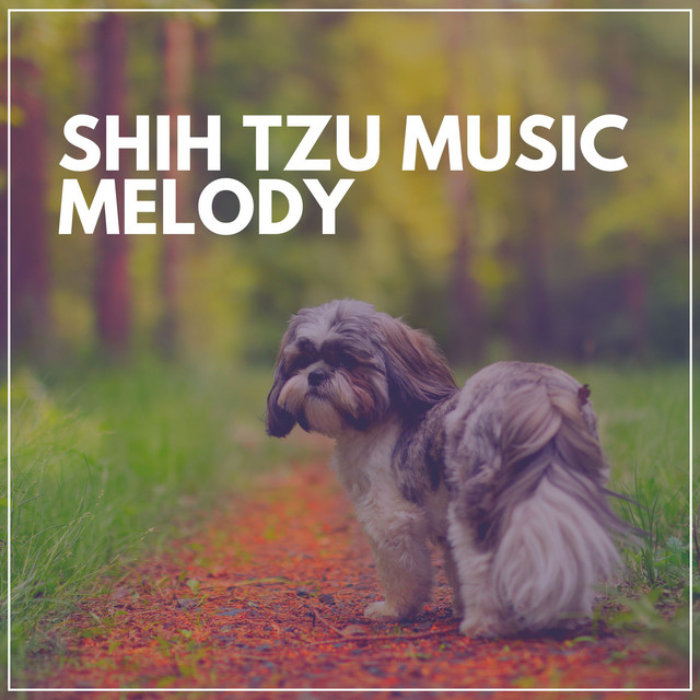Music 中古品 Relaxing Dog With ソニーミュージック CD