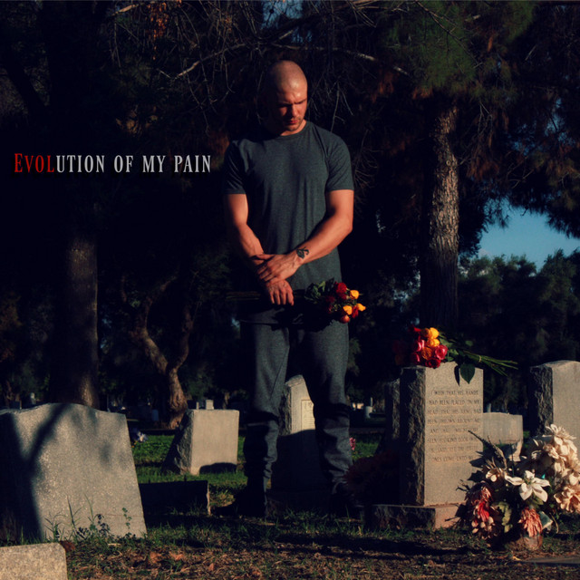 Evolution of My Pain cover art