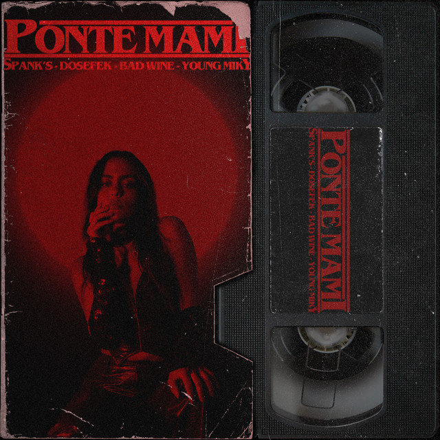 Ponte Mami cover art