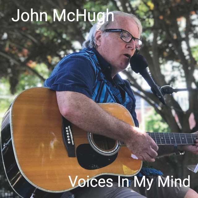 Voices in My Mind cover art