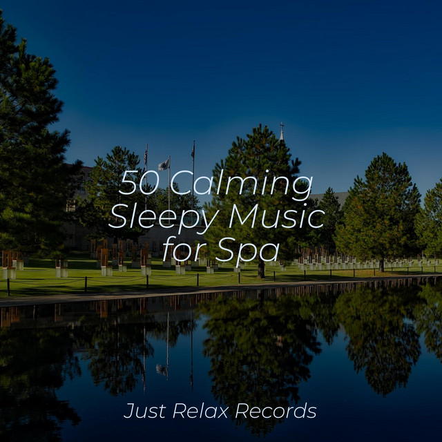 50 Calming Sleepy Music for Spa - Album by Deep Sleep Relaxation | Spotify