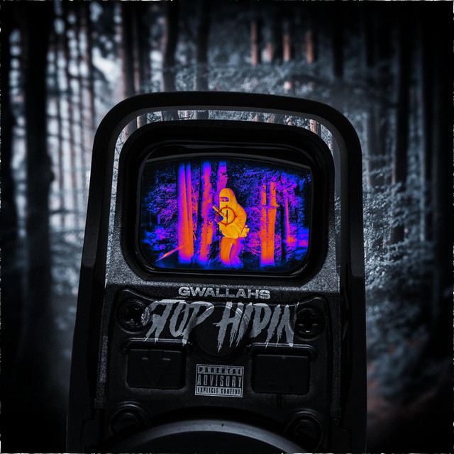 Stop Hidin - song by Gwallahs | Spotify