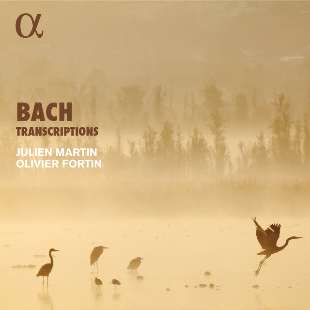 Flute Sonata in E Major, BWV 1035: I. Adagio ma non tanto