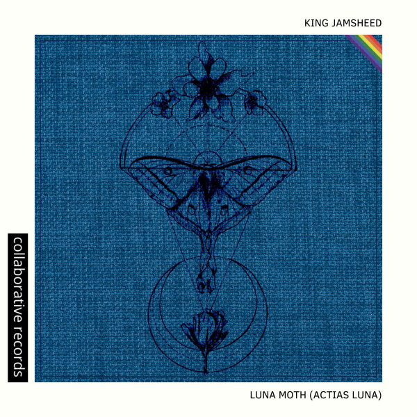 Luna Moth (Actias Luna) cover art