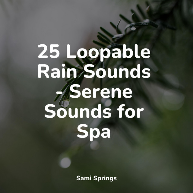 25 Natural Rain Sounds for Meditation and Sleep - Album by Nature ...
