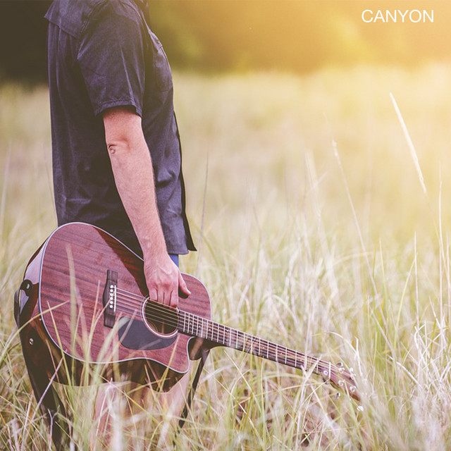 Canyon cover art