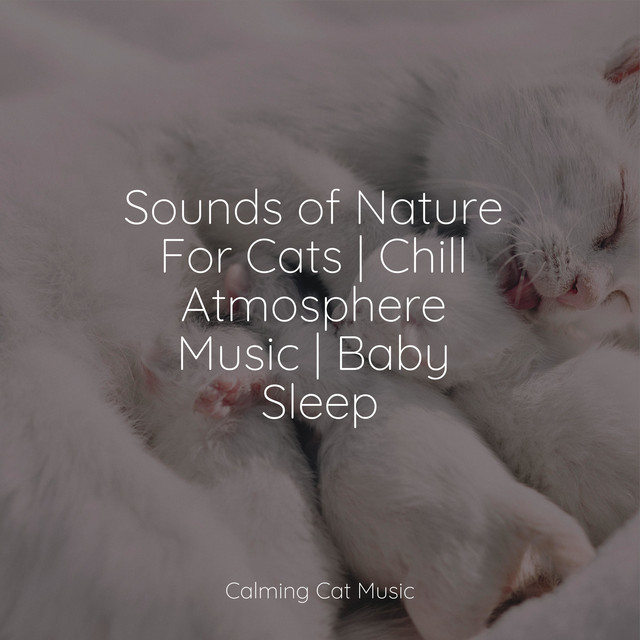 Sounds of Nature For Cats | Chill Atmosphere Music | Baby Sleep - Album ...