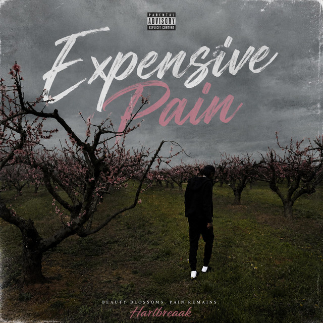 Expensive Pain cover art