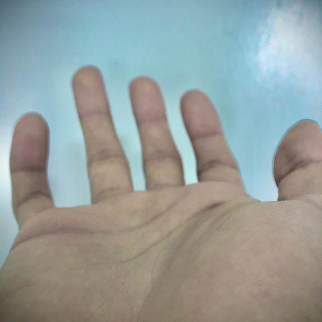 The End