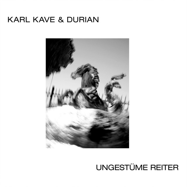 Ungestüme Reiter cover art