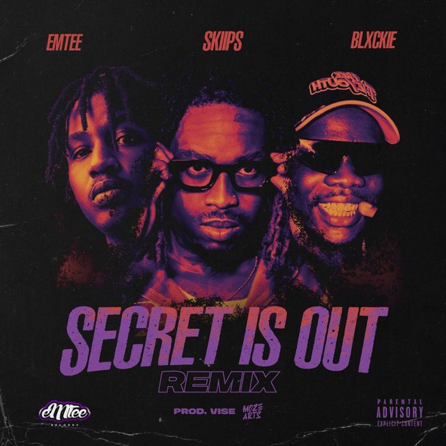 SECRET IS OUT (Remix) album image