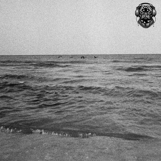 beachcomber cover art